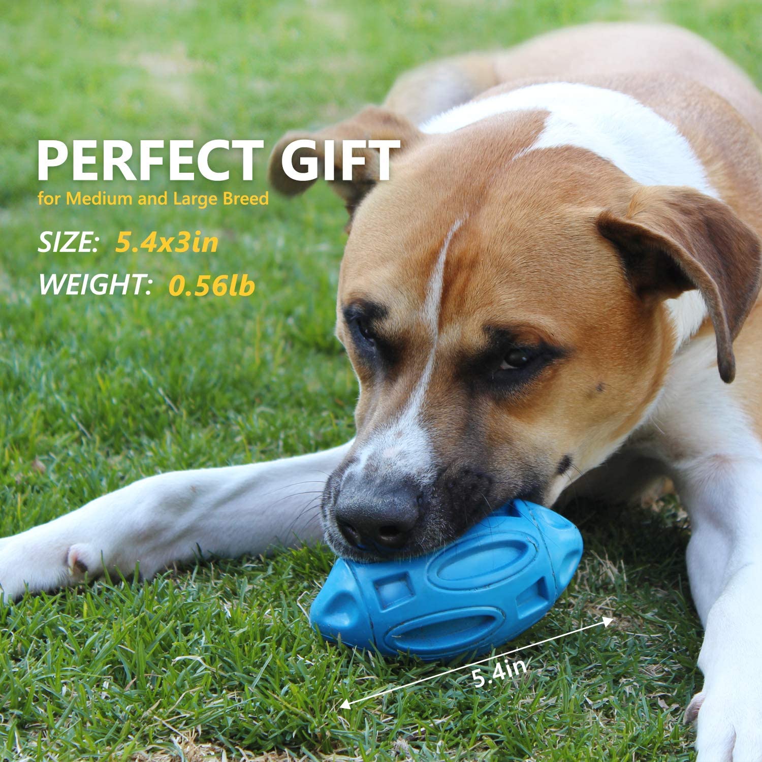 Durable Rubber Squeaky Rugby Dog Ball-2